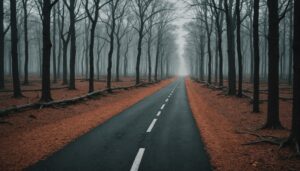 À la croisée des chemins : comprendre l'interaction entre traumatisme et trouble bipolaire